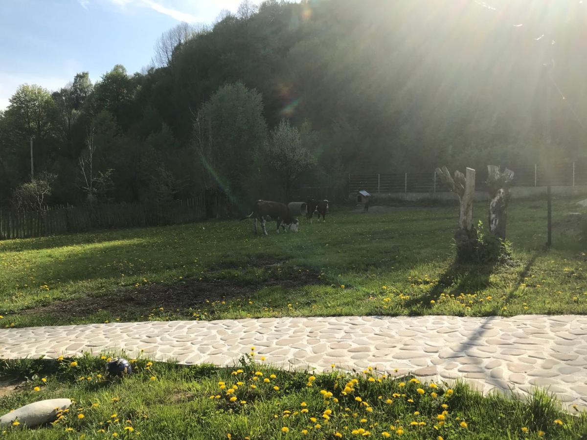Casutele Doftanei Leilighet Teşila Eksteriør bilde